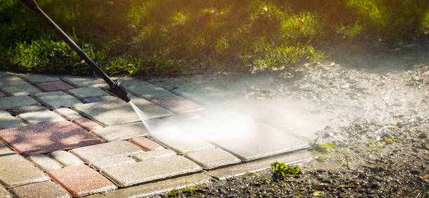Best Animal Enclosure Cleaning  in Mercersburg, PA